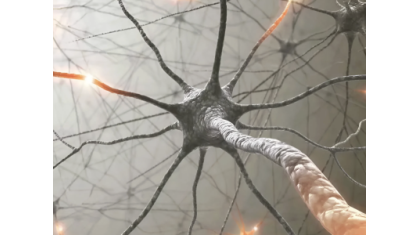 Искусственный нейрон впервые подружили с живыми клетками Искусственный нейрон впервые подружили с живыми клетками