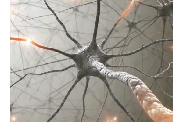 Штучний нейрон уперше «потоваришував» із живими клітинами