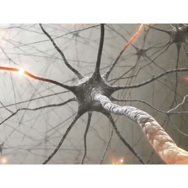 Искусственный нейрон впервые подружили с живыми клетками