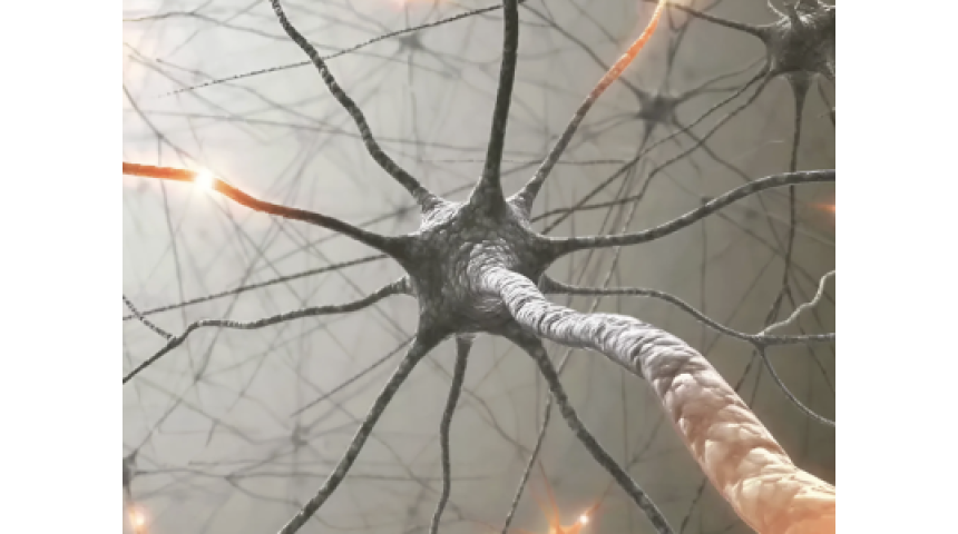 Искусственный нейрон впервые подружили с живыми клетками