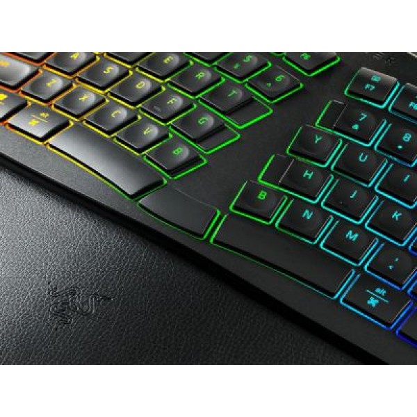 Razer представила эргономичную офисную split-клавиатуру Pro Type Ergo