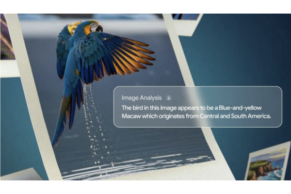 Google назвала ШІ незворотною частиною повсякденного життя