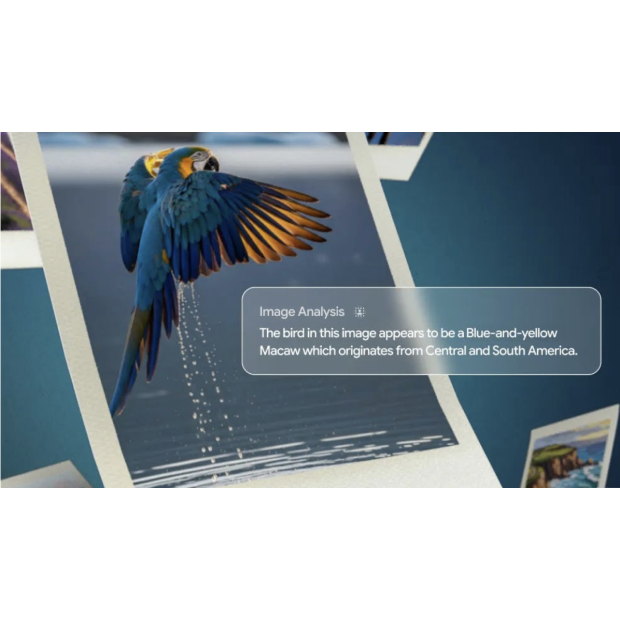 Google назвала ШІ незворотною частиною повсякденного життя