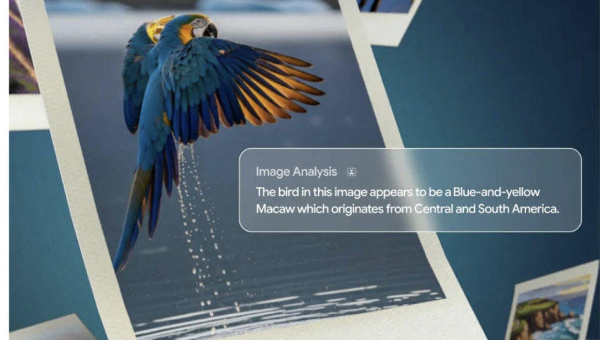 Google назвала ИИ необратимой частью повседневной жизни