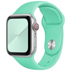 Ремешок Apple Watch Silicone 38 / 40 / 41 / SE (49) Aquamarine
