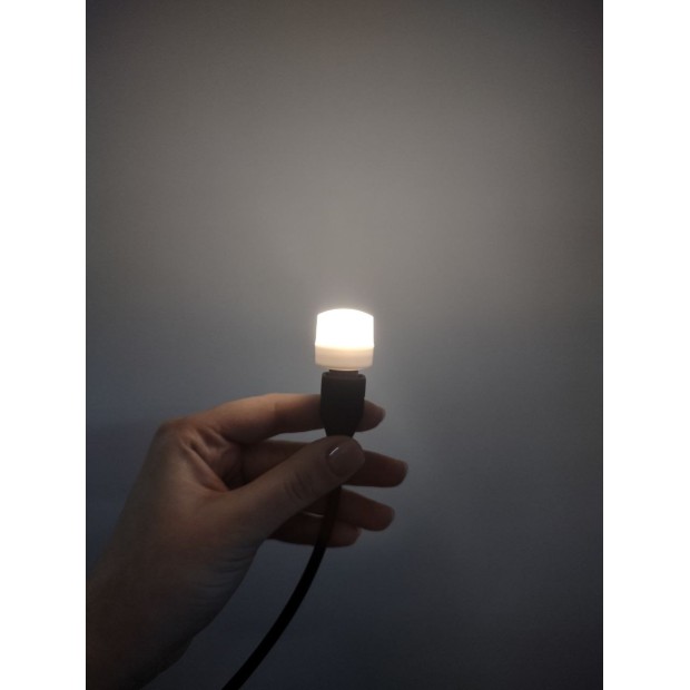 USB лампа-ліхтарик нічник 1W USB LED Light (Холодне світло) (Білий)