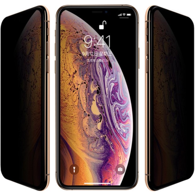 Защитное стекло 5D Privacy HD Apple iPhone X / XS / 11 Pro Black