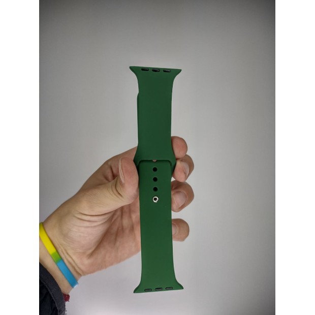 Ремешок Apple Watch Silicone 42 / 44 / 45 / 49mm (73) Forest Green