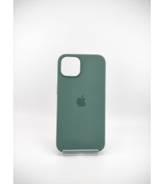 Чохол Silicone Case with MagSafe для Apple iPhone 13 (Колір: Евкаліпт)