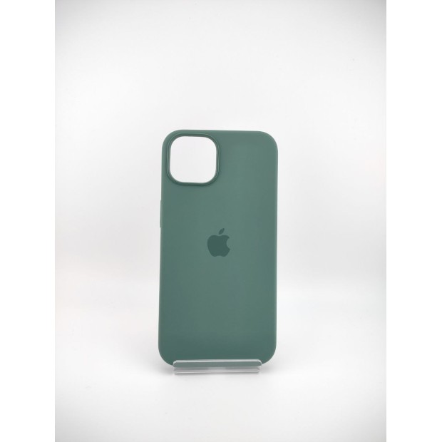 Чохол Silicone Case with MagSafe для Apple iPhone 13 (Колір: Евкаліпт)