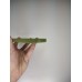 Силикон Original RoundCam Case Apple iPhone 13 (46) Deep Green