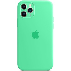 Силіконовий чохол Original RoundCam для Apple iPhone 11 Pro Max (49) Аквамарин.