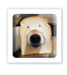 3D-стікер 3D-стікер