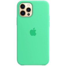 Силіконовий оригінальний чохол Apple для iPhone 12 / 12 Pro (49) аквамарин