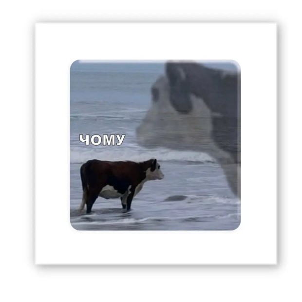 3D-стікер, Харків, Київ, Україна