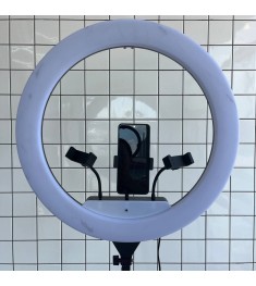 Набор для съемки LED-лампа RL-21 (55cm) (Уценка) (2 Категория) Набор для съемки LED-лампа RL-21 (55cm) (Уценка) (2 Категория)