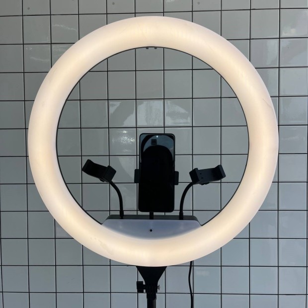 Набор для съемки LED-лампа RL-21 (55cm) (Уценка) (2 Категория)