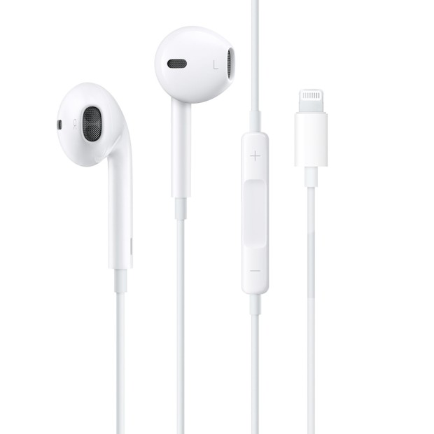 Apple EarPods Lightning 2019 (MNHF2  /  MMTN2) (Оригінал)