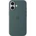 Чохол Silicone Case with MagSafe для Apple iPhone 16 (озерний зелений) (оригінал)