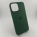 Чохол Silicone Case with MagSafe для Apple iPhone 13 Pro Max (Клевер)