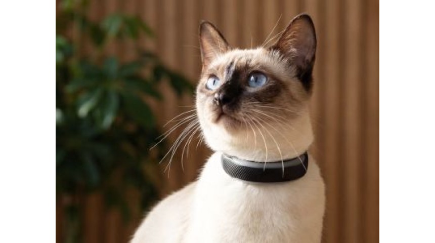 Фитнес-трекеры Tractive следят за здоровьем и активностью домашних питомцев