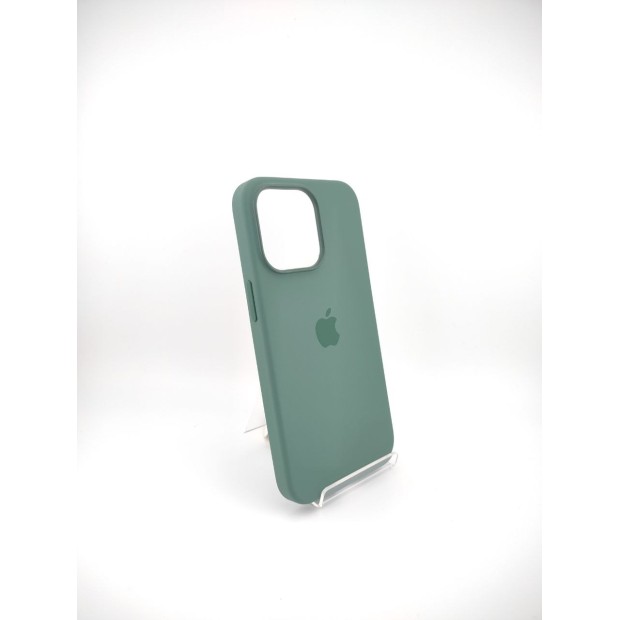 Чехол Silicone Case with MagSafe Apple iPhone 13 Pro (Eucalyptus)