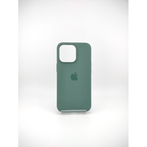 Чехол Silicone Case with MagSafe Apple iPhone 13 Pro (Eucalyptus)