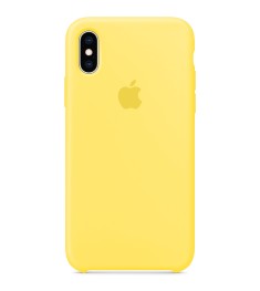 Силиконовый чехол Original Case Apple iPhone XS Max (40) Flash