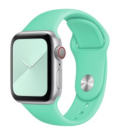 Ремешок Apple Watch Silicone 38 / 40mm (49) Aquamarine