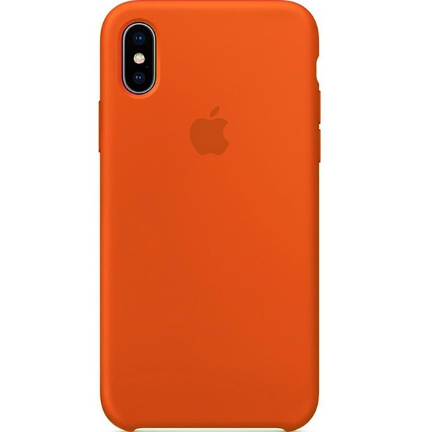 Чехол Силикон Silicone Case Apple iPhone X (18)