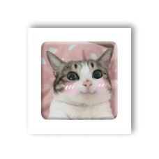 3D-стикер "Мем милий котик"