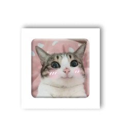 3D-стикер "Мем милий котик"