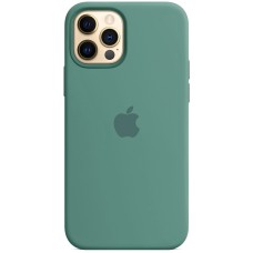 Чехол Silicone Case Apple iPhone 12 / 12 Pro (Pine Green)