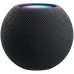 Smart колонка Apple HomePod mini (Space Gray)