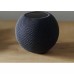 Smart колонка Apple HomePod mini (Space Gray)