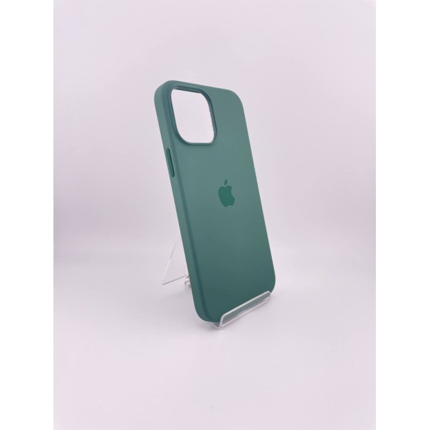 Чехол Silicone Case with MagSafe Apple iPhone 13 Pro Max (Eucalyptus)