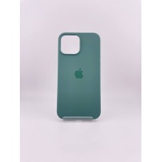Чехол Silicone Case with MagSafe Apple iPhone 13 Pro Max (Eucalyptus)
