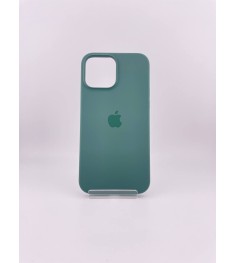 Чехол Silicone Case with MagSafe Apple iPhone 13 Pro Max (Eucalyptus)