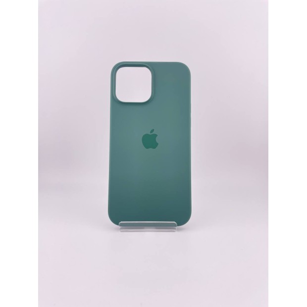 Чехол Silicone Case with MagSafe Apple iPhone 13 Pro Max (Eucalyptus)