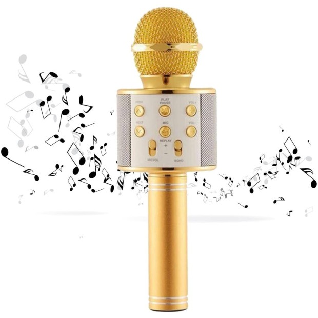 Микрофон-караоке Profit WS-858 (Золотой)