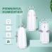 Увлажнитель воздуха Humidifler RD123 (Бело-золотой)