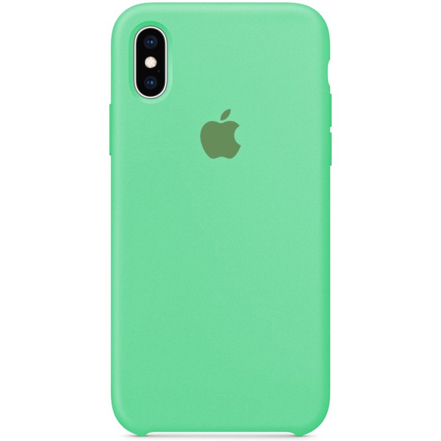 Силиконовый чехол Original Case Apple iPhone X / XS (49) Aquamarine