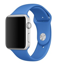 Ремешок Apple Watch 42mm (17)