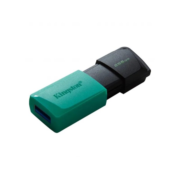 USB 3.2 флеш-накопитель Kingston DataTraveler Exodia M DTXM 256Gb