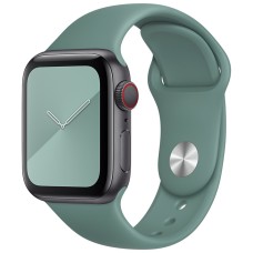 Ремешок Apple Watch Silicone 42 / 44mm (55) Blackish Green