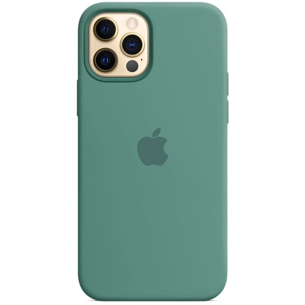 Чехол Silicone Case Apple iPhone 12 Pro Max (Pine Green)