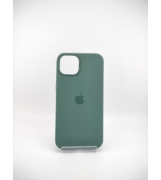 Чехол Silicone Case with MagSafe Apple iPhone 13 (Eucalyptus)