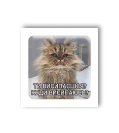 3D-стикер "Сонний кіт"