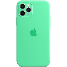 Силикон Original RoundCam Case Apple iPhone 11 Pro Max (49) Aquamarine