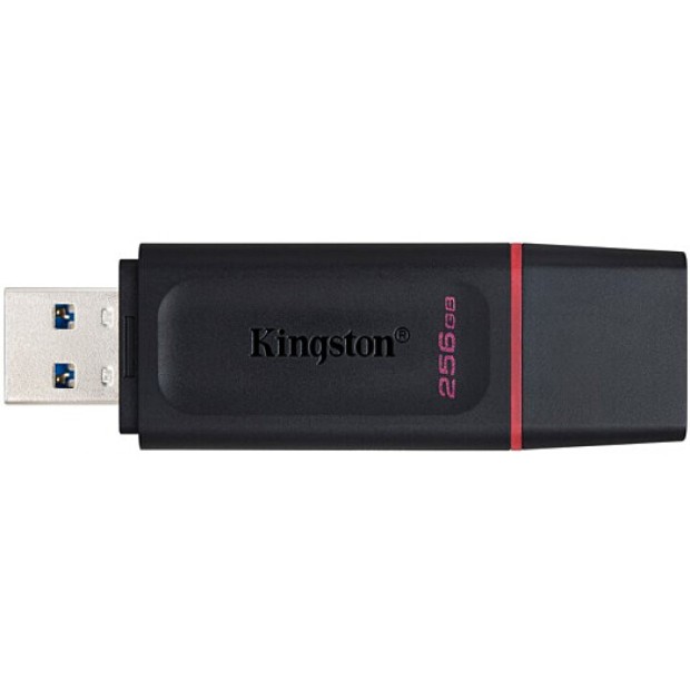 USB 3.2 флеш-накопитель Kingston DataTraveler Exodia DTX 256Gb